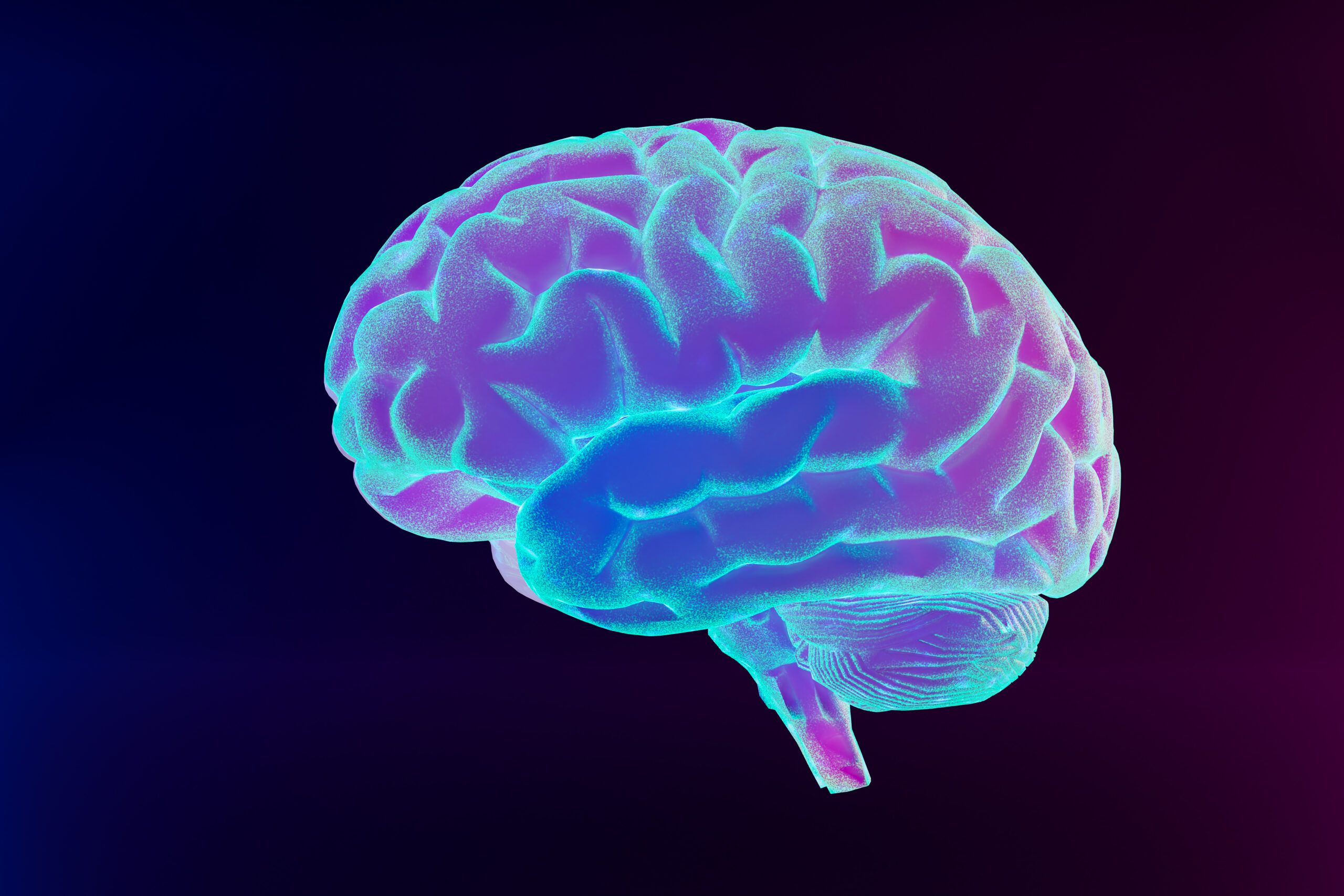 Neuroplasticidade e aprendizado