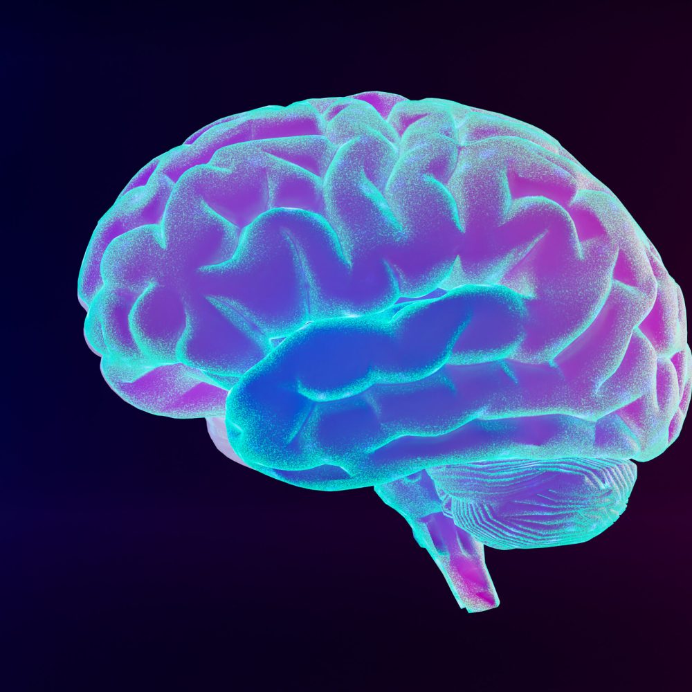 Neuroplasticidade e aprendizado